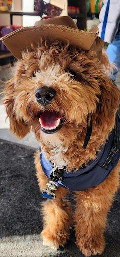 Photo from customer review