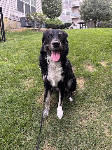 Photo from customer review